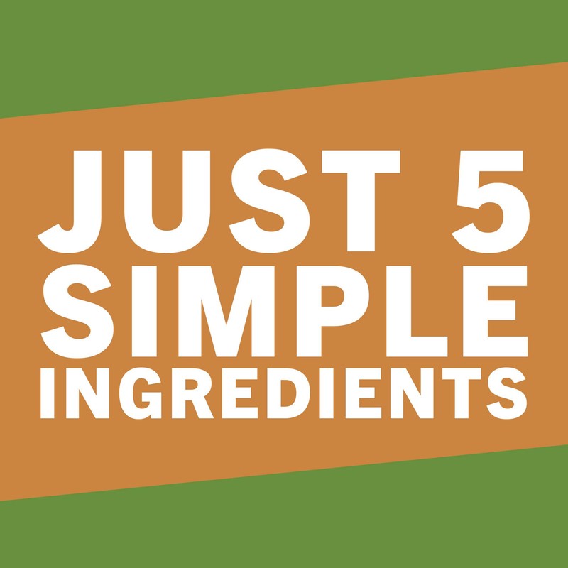 McCormick Just 5 Simple Ingredients Classic French Onion Dip &
