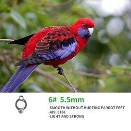 VINGNUT Bird Foot Rings AISI 316L Stainless Steel Bird Harness Outdoor Parrots Leg Ring Outdoor Fly Training Activity Opening Clip Accessories for Parrots (5.5mm)