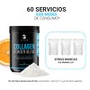 Colágeno Hidrolizado Biotina Magnesio Ácido Hialurónico Vitamina Polvo Porciones Alta
