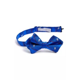 Nordstrom Boy's Blue Skull & Stripe Silk Bow Tie L37050 One Size