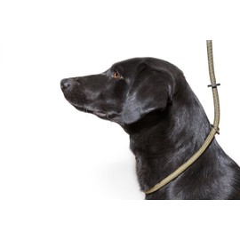 Dog & Field Deluxe Gundog Slip Lead - Green. Super Soft Braided Nylon Slip Lead For Dogs With Rubber Stopper, Easy To Slip On, No Collar Or Harness Needed. One Size Fits All Training Lead For Dogs