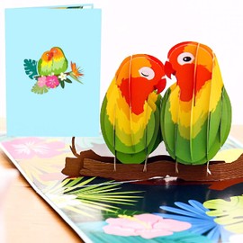 Liif Love Birds 3D Pop Up Anniversary Card for Wife, Husband, Couple, Valentines Day Card