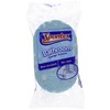 Spontex Bathroom Sponge Scourer (Pack of 10)