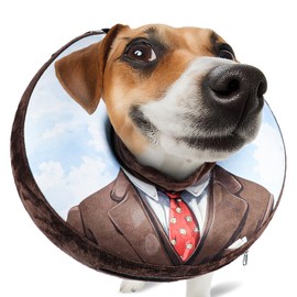 SuplutuX Inflatable Collar for Dogs & Cats - Soft Lick Protection Collar with Adjustable Drawstring, Ideal After Surgery or Wounds, Clear Vision, L