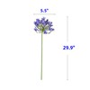 XIZHI 3 Pcs Artificial Agapanthus Flowers Real-Touch Silk Lotus Flowers