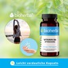 Vitamin B-6 (Pyridoxine), Bioherba, 100 Capsules, 10 mg