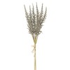 SilksAreForever 19" Artificial Astilbe Flower Stem Bundle -Sage (Pack of