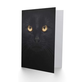 Black Cat - Close Up Photo Sealed Greeting Card Plus Envelope Blank inside