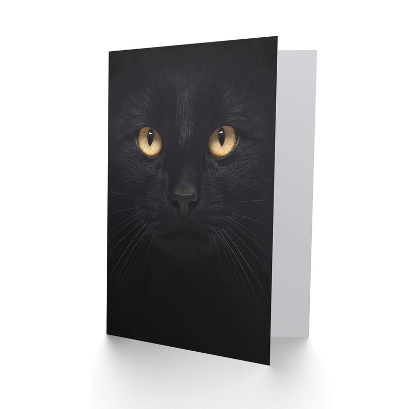 Black Cat - Close Up Photo Sealed Greeting Card Plus