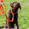 6 Pack Swivel Eye Bolt Snap Hooks for Pet Leash,