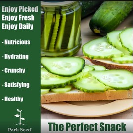 Park Seed Variety of Cucumber Seeds, Planting Cucumbers, Vegetable Seeds, Easy to Grow, Non-GMO, Perfect for Harvesting, Sir Crunch a Lot Hybrid, Pack of 15