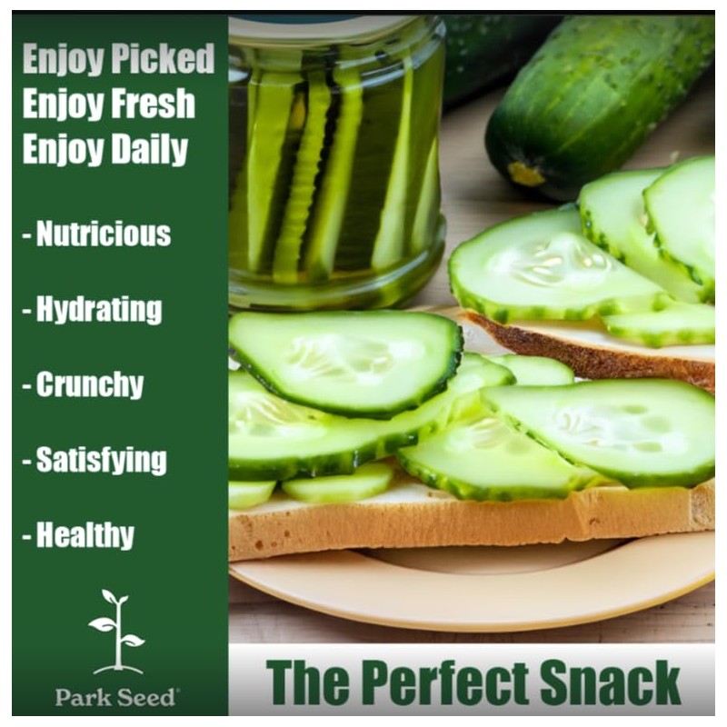 Park Seed Variety of Cucumber Seeds, Planting Cucumbers, Vegetable Seeds,