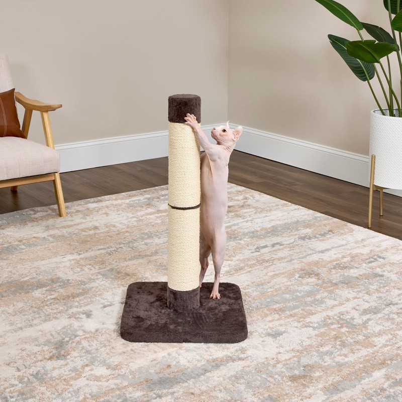 Feline Nuvo Medium, Forte Scratching Post- Brio