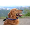 Aiminto Braided Rope Collar, Training Dog Collar, Round Martingale Collar,
