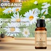 Wuvezrub Chamomile Essential Oil 10ML - 100% Pure and Natural