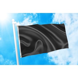 DMSE Solid Blank Flag 3X5 Ft Foot Flag UV Resistant (3x5 Nylon, Black)