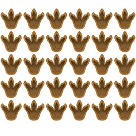 VWAQ Dinosaur Footprints Wall Decals - Peel and Stick Vinyl Stickers - 30 PCS - HOL40