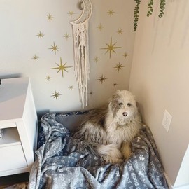 Large Star Stencil for Painting Reusable Paint Stencils for Walls Twinkle Star Wall Drawing Stencils for Painting on Wood Craft Canvas Fabric Home Decoration(Small Twinkle)