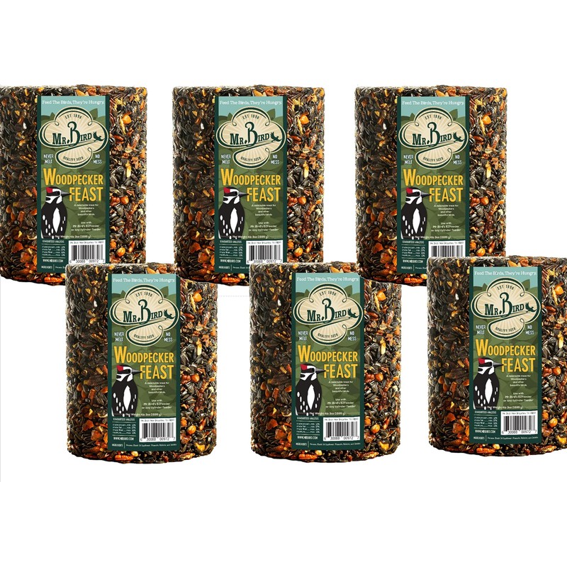 Mr. Bird Woodpecker Feast Birdseed Cylinder - Large 6" Diameter