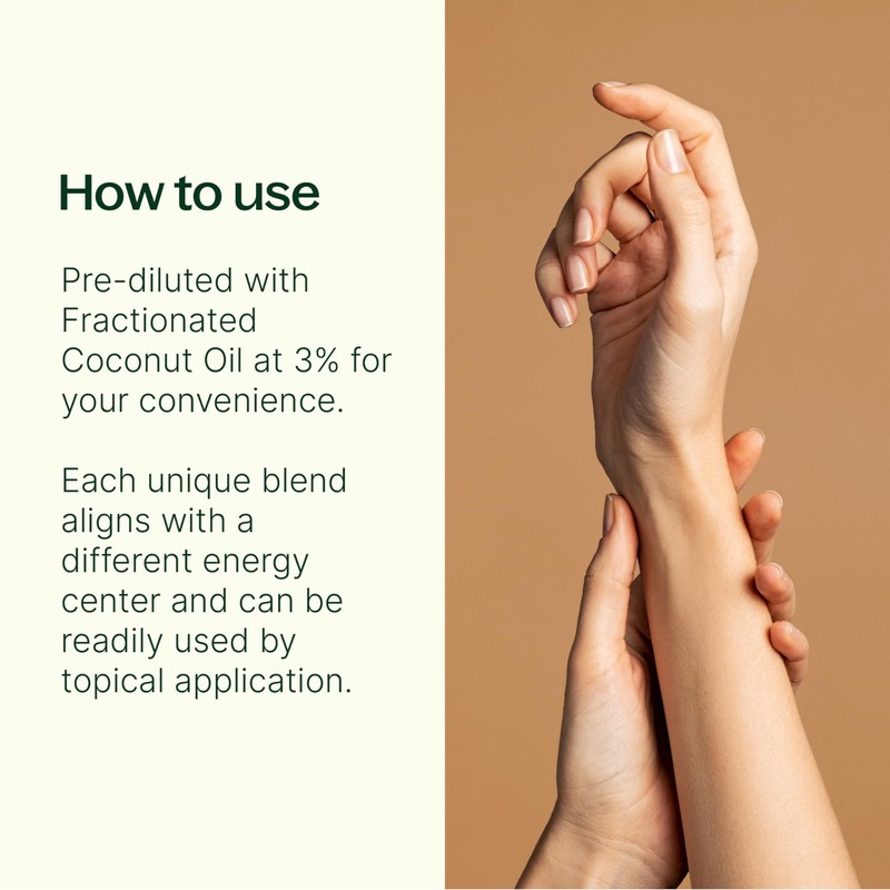 Plant Therapy Chakra Synergy Blends Complete Roll-On Set 100% Pure,