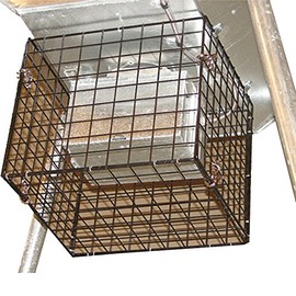 All Seasons Feeders - Varmint Basket -