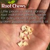 Root Chews MINTS 1oz Refill 300+ pcs | Bulk Pack