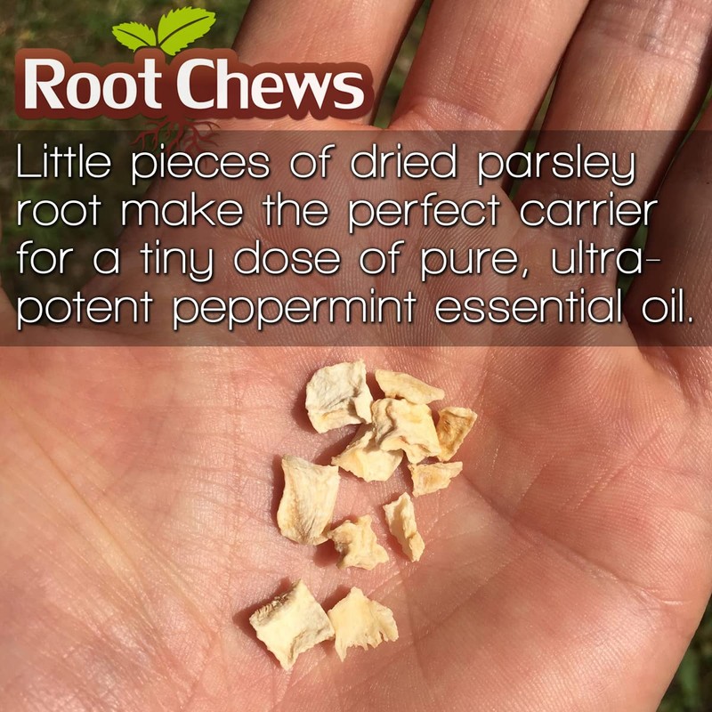 Root Chews MINTS 1oz Refill 300+ pcs | Bulk Pack