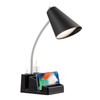 LED Desk Lamp with 1 USB Charging Port and 1