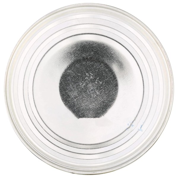 365 by Whole Foods Market, Organic Cannellini Beans, 15.5 Ounce