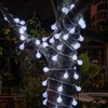 AWQ 100 LED 49 FT Globe Ball String Lights Crystal