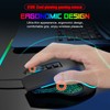 Gaming Mouse USB2.0 4 Adjustable DPI RGB Backlit Ergonomic Design
