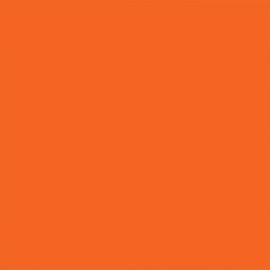 Rust-Oleum 249095 Painter's Touch 2X Ultra Cover, 12 Ounce (Pack of 1), Gloss Real Orange