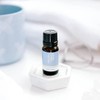ECO. Modern Essentials Happy Head Essential Oil Blend, 10ml