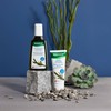 RAUSCH Degreasing scalp treatment with seaweed 100ml -Healing Mask for