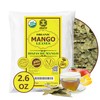 Akshit -Mango Leaves Tea, Hojas De Mango, 2.6oz, Pure Dried