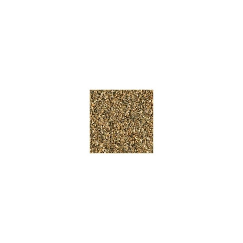 GloFish Daphnia Treat Whole Treat and Good Source of Protein