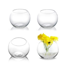 CYS EXCEL 4 PCS Small Glass Bubble Bowls (H-4.5" W-5.5", Approx. 1/4 Gal.) Round Terrarium Globe Flower Vase Candle Holder Centerpiece