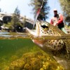 6 pcs 13.5cm/13.5g Freshwater Saltwater Fishing Lures Plastic Hard Baits