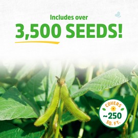 Back to the Roots 100% Organic Soybean Cover Crop Seeds, Covers ~1000 sq. ft.