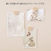 Midori Clip Picture Clip Wood Natural 35497006