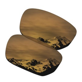 SmartVLT Polarized AR Coated Bronze Gold Replacement Lenses for Oakley Style Switch OO9194 Sunglass