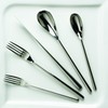 Fortessa Dragonfly 18/10 Stainless Steel Flatware Table Fork, 8.25-Inch, Set