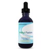Nutra Biogenesis Methyl Factors - Vitamin B12 Drops, Methylfolate Drops,