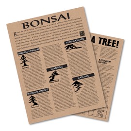 Bonsai Tree Bundle | Collection of 5 Live Tree Seedlings | The Jonsteen Company