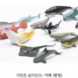 Nature Is Alive Fish Exploration (Medium 815826C) Animal Learning Educational Toy Animal Model Natural Science Toy Figure / 자연은살아있다 어류탐험 (중형 815826C) 동물학습 교육완구 동물모형 자연과학완구 피규어