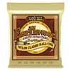 Ernie Ball Folk Nylon Clear & Gold Ball-End 80/20 Bronze