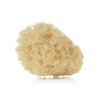 Jané Natural Sponge, 2 Pack, Soft, Special Newborn