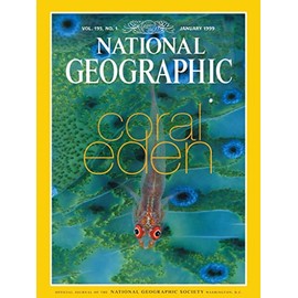 New York Puzzle Company - National Geographic Coral Eden - 500 Piece Jigsaw Puzzle