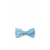 Baby Blue Infant Pretied Bow Tie