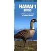 Hawai'i Birds: A Folding Pocket Guide to Familiar Species (Nature